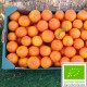 Mandarina Clementina 10 Kg 