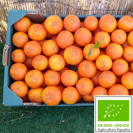 Mandarina Clementina Ecológica 10 Kg 